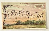 Front view of postcard showing floral word design