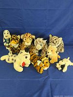 Group shot of all nine plush toys