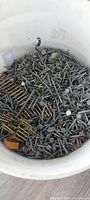 Top view of bucket showing loose nails and collated strips