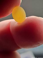 Yellow oval opal held between fingers showing translucency