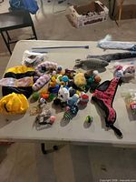 Overview of entire lot on table showing toys, costume, harness