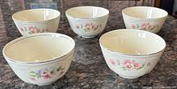 All five matching Homer Laughlin bowls displayed top view