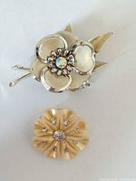 Both brooches front view