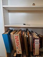 Shelf showing entire group of books and blue binder