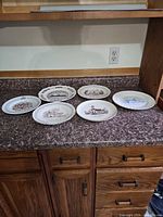 All six decorative plates on countertop