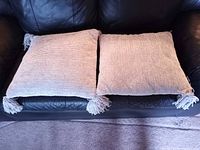 Front view of both pillows displaying textured chenille fabric and corner tassels