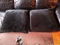 Both black faux fur throw pillows on sofa