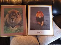 Both framed lion prints side by side showing overall appearance and frame style