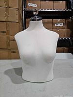 Front view of female torso dress form bust showing overall shape and color