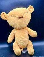 Front view of Simba plush stuffed animal showing design and condition