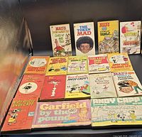 All 16 books front covers displayed