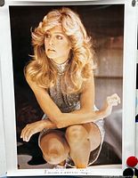 Full view of Farrah Fawcett poster showing entire image