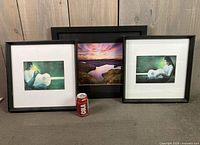 All three framed prints with soda can for scale