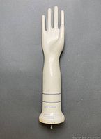 Full view of porcelain glove mold hand showing overall shape and length