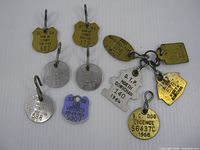 Group shot of all eleven tags laid out to show shapes, colours, dates and serials