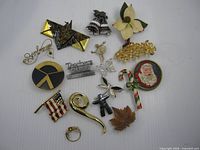 All seventeen brooches arranged on white background