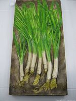 Full view of wall plaque showing entire green onion relief