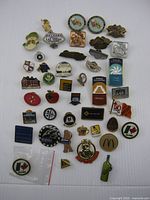 Full layout of all 43 pins on white background