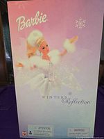 Front of box showing Barbie Winter's Reflection graphics
