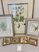 Group shot showing six framed botanical pieces: two larger prints and four small reverse-glass paintings