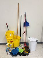 Group shot showing bucket, mops, broom, dustpan, trash can, cloths and cleaners