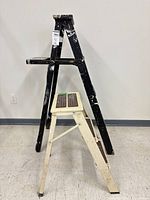 Both ladders standing together