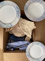 Open box with plates and packing showing pastel rim dinner plates