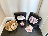 Full lot view with plaques, basket, bowl, conch