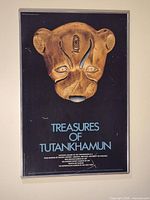 Full view of framed poster showing mask image and title