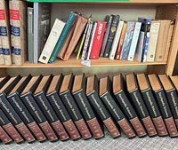 Two-shelf view showing Encyclopaedia Britannica set on lower shelf and assorted books above