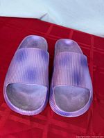 Top view showing pair of purple slides