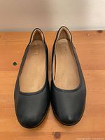 Full view of both black ballet flats