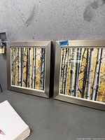 two framed birch tree prints side by side