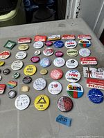 Group view of entire assortment laid out on table