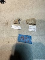 Both fossil specimens with identification labels