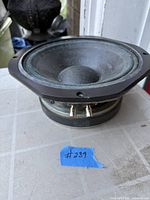 Front view of speaker driver showing cone and frame