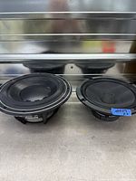Both speaker drivers side by side front view showing cone condition