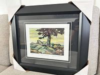 Front view of framed lithograph with protective corners