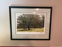 Full view of framed Tom Forrestall signed print on wall