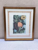 Front view of framed print showing artwork, matting and frame