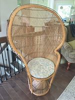 Full view of peacock chair showing overall design, material and condition