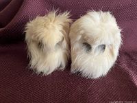 Front view of two fur-covered owl figurines