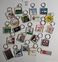 Full group shot of all twenty acrylic keychains