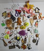 Full layout of entire keychain assortment