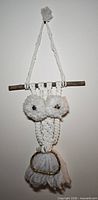 Full front view of macramé owl wall hanging