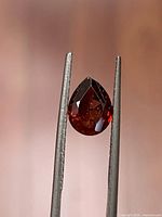 Front view of pear-cut red garnet held by tweezers