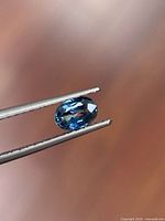 Close-up side view of oval blue sapphire held by tweezers