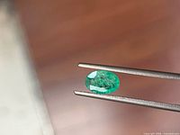 Oval green emerald held by tweezers, showing size and cut