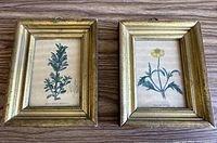 Both framed prints side by side showing scale, frames, and overall condition