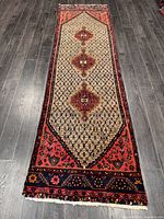 Full view of entire runner rug showing design and dimensions